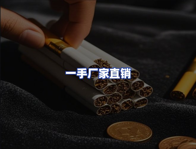 专业团队